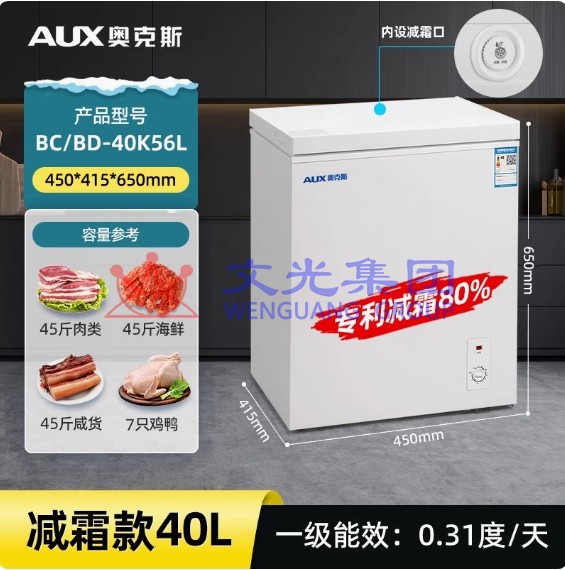 奥克斯   小冰柜 家用全冷冻速冻冷藏两用冷柜  40L       货号：TXH SKU：WG0141352