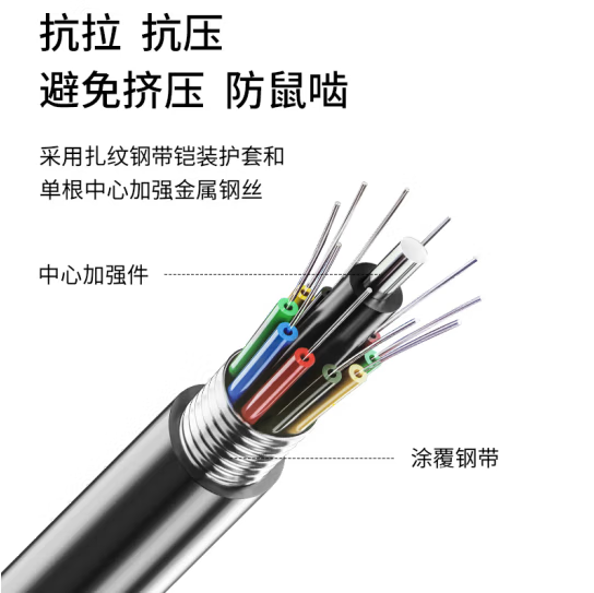 菲尼特 12芯单模光纤 每米价 SKU:YZ118669