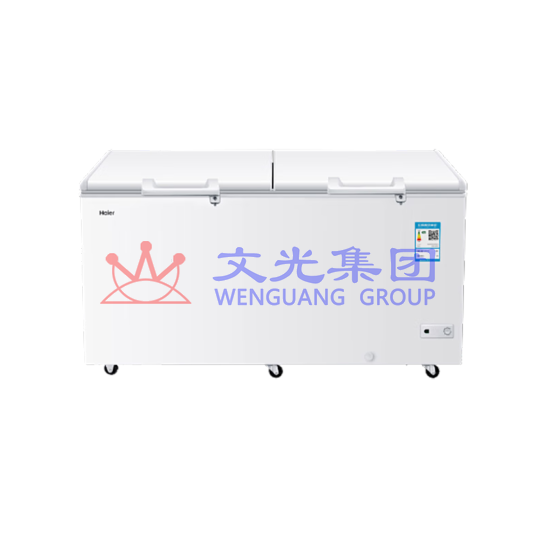 海尔(Haier)429升 双开门商用大容量深冷速冻冰柜 BC/BD-429HCM 1410*905*745 SKU:WG0115198