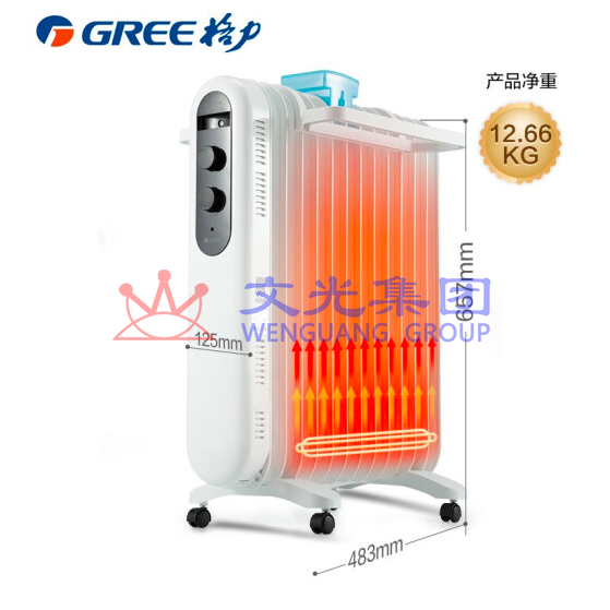 格力 NDY19-X6021 取暖器2100W电油汀家用电暖器片13片电暖气片 SKU:WG0101232