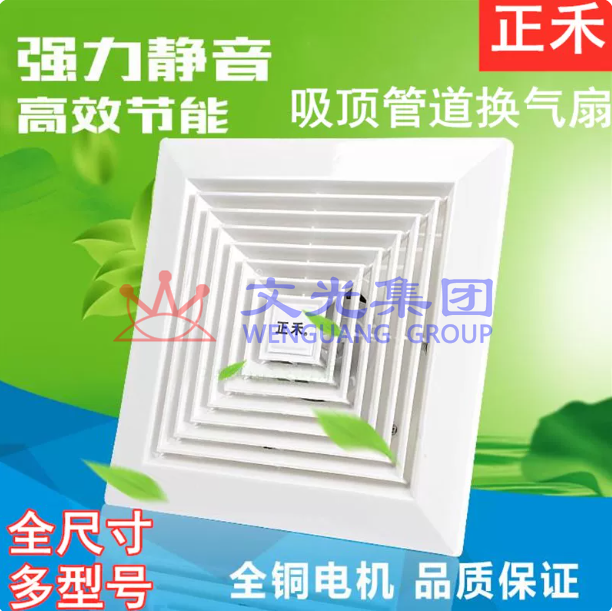正禾 8寸换气扇排气扇排风扇 开孔205mm BPT13-20 SKU:WG0115559
