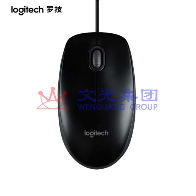 罗技B100有线鼠标光电鼠标 黑色 SKU：WG0110420
