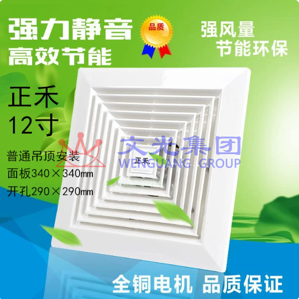 正禾 12寸换气扇排风扇BPT16-30 开孔295*295mm SKU：WG0115560