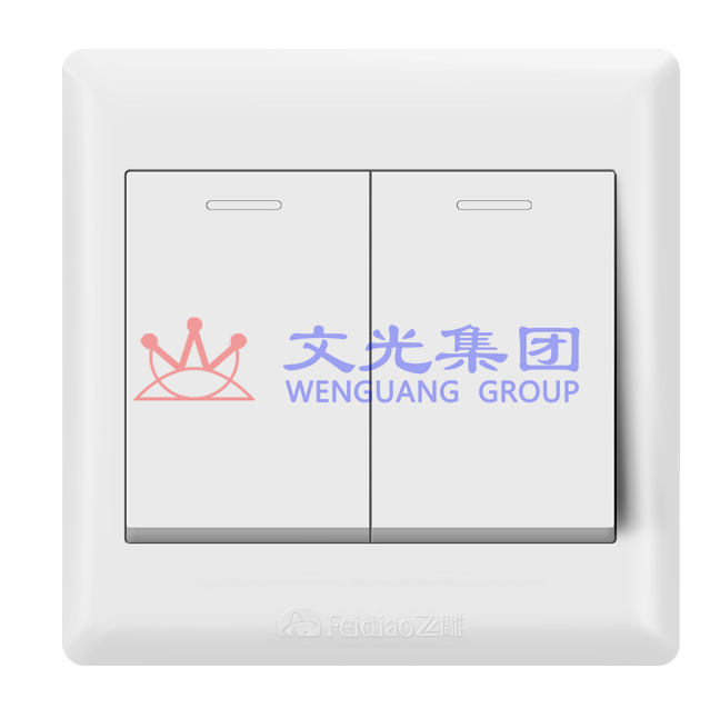 飞雕 双开双控 86型墙壁开关E5-A 白色 二开二控面板开关-融创集采商城
