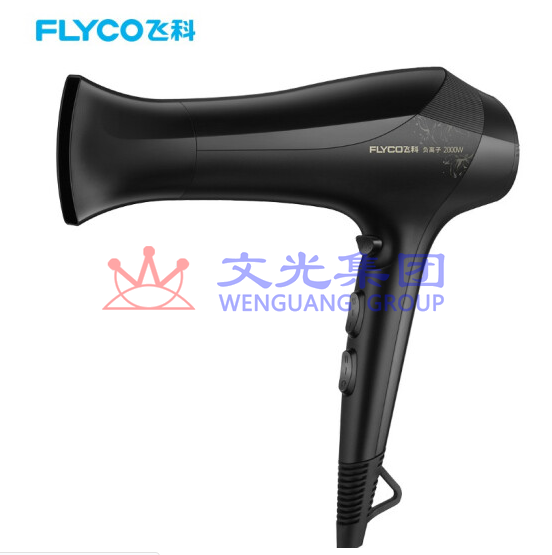 飞科(FLYCO)电吹风机家用FH6266大功率吹风筒负离子2000W SKU:WG00023930